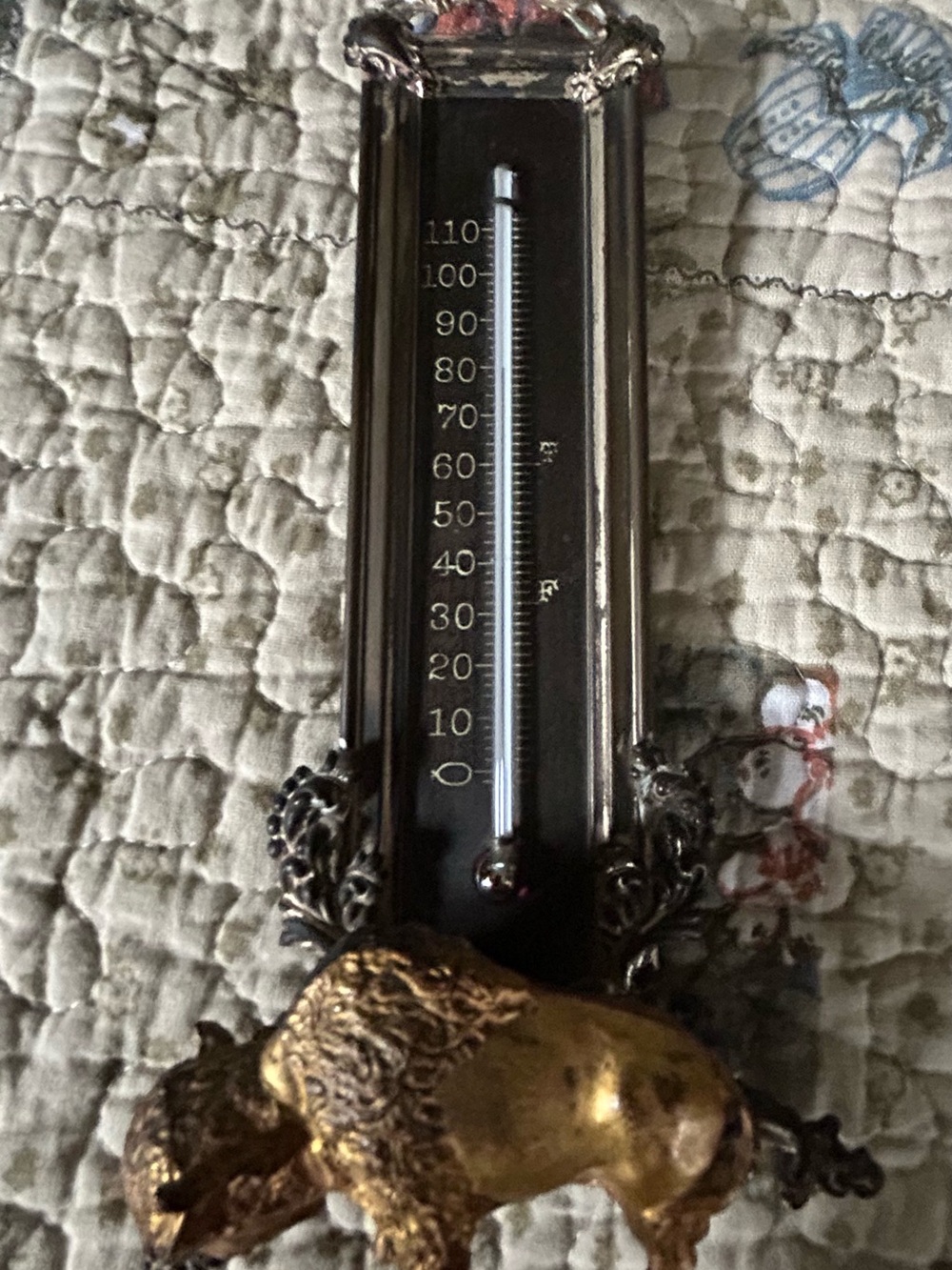 Vintage Buffalo Thermometer